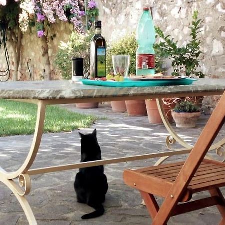 Home Garden Grosseto Dış mekan fotoğraf
