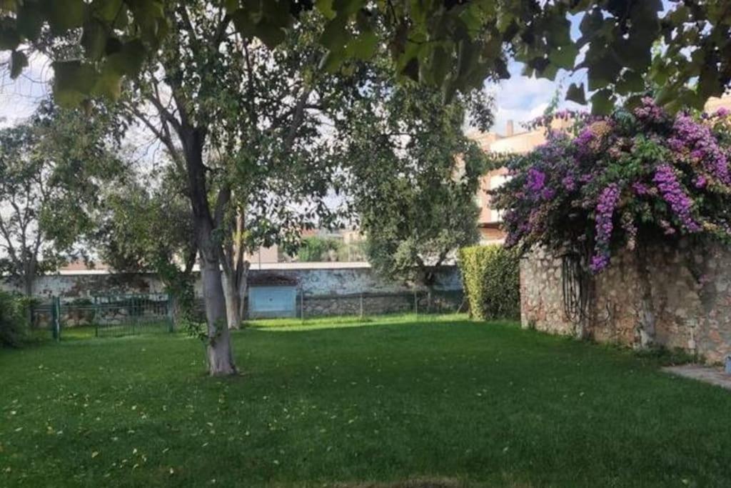 Home Garden Grosseto Dış mekan fotoğraf