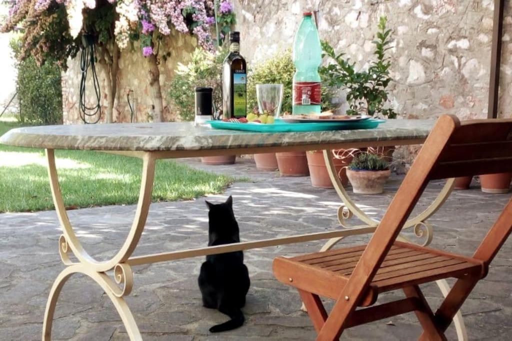 Home Garden Grosseto Dış mekan fotoğraf